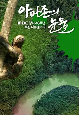 《亚马逊的眼泪》：一部触及灵魂的环保纪录片，揭露雨林深处的残酷真相