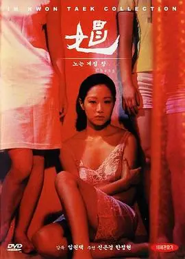 《娼》：直面社会的隐秘角落，一部触动灵魂的深刻反思之作